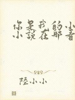 你是我的小确幸小说在哪看