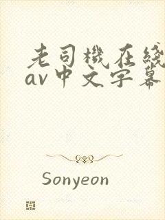 老司机在线观看av中文字幕