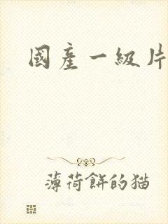 国产一级片内射