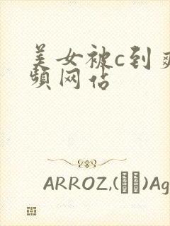 美女被c到爽视频网站封面