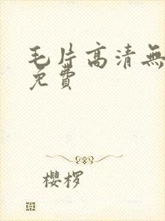 毛片高清无遮挡免费