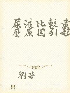 尿液比较黄是什么原因引起的