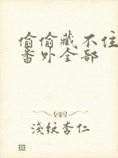 偷偷藏不住新婚番外全部