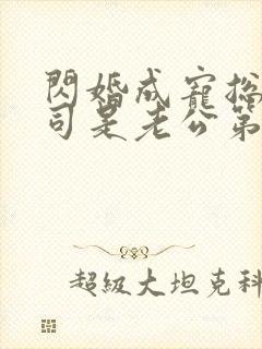 闪婚成宠总裁上司是老公第100集