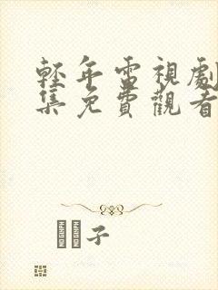 轻年电视剧40集免费观看全集