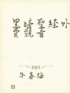 黑暗圣经外传免费观看