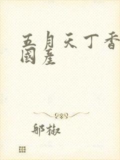 五月天丁香婷婷国产封面