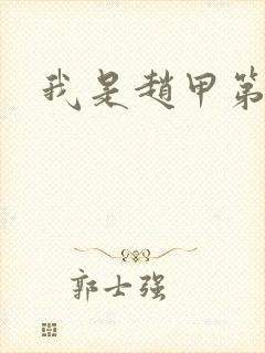 我是赵甲第小说封面