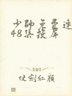 少帅免费连续剧48集投屏