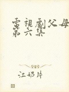 电视剧父母爱情第六集封面