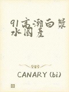 91高潮白浆喷水国产封面