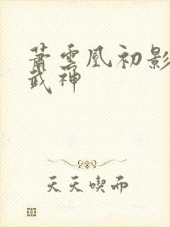 萧云凰初影荒古武神