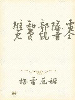 维和部队电视剧免费观看全集封面