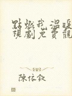 点燃我温暖你电视剧免费观看星辰封面