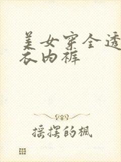 美女穿全透明内衣内裤封面