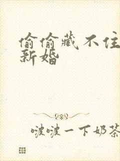 偷偷藏不住番外新婚