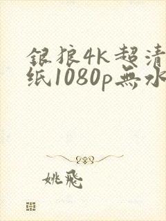 银狼4k超清壁纸1080p无水印全屏