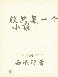 朕只是一个演员 小说