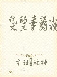 我的老婆小静全文免费阅读最新章节