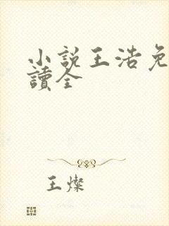 小说王浩免费阅读全封面