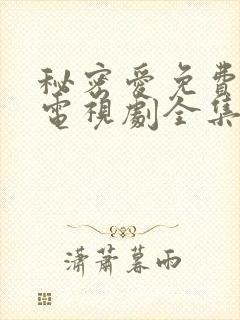 秘密爱免费观看电视剧全集完整版高清