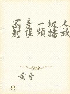 国产一级人片内射视频播放