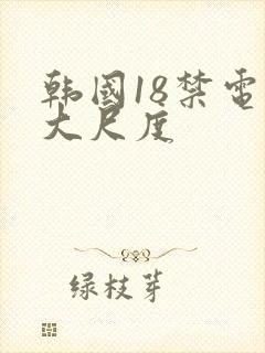 韩国18禁电影大尺度