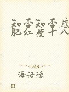 知否知否应是绿肥红瘦十八集封面