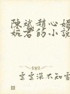 陈斌赵心媚和高婉君的小说