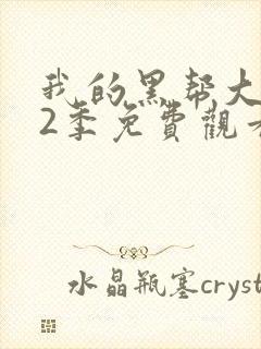 我的黑帮大佬第2季免费观看