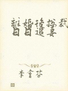 离婚后总裁前夫日日追妻