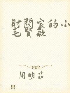 财阀家的小儿子毛贤敏