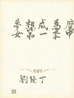 梦想成为魔法少女第一季中文版