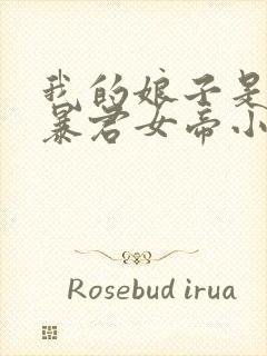 我的娘子是未来暴君女帝小说