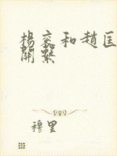 杨衮和赵匡胤的关系