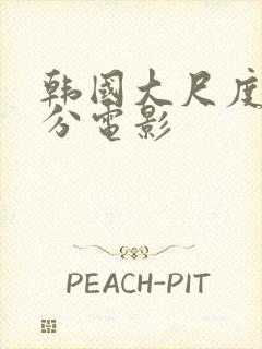 韩国大尺度高评分电影