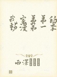 我家弟弟的超棒动漫第一季免费观看