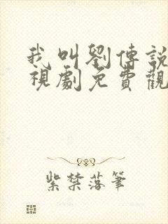 我叫刘传说 电视剧免费观看