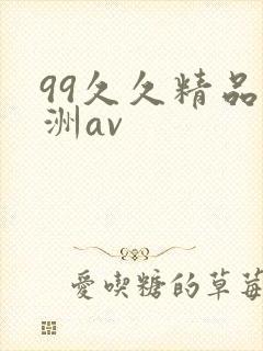 99久久精品亚洲av