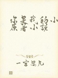 你是我的小确幸原著小说
