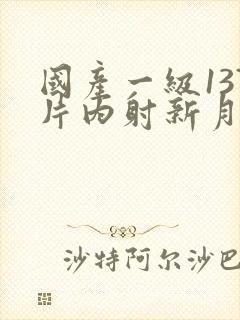 国产一级137片内射新月在线