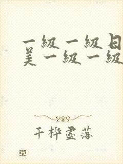 一级一级日韩欧美一级一级