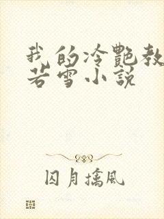 我的冷艳教师林若雪小说封面