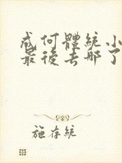 成何体统小太子最后去哪了封面