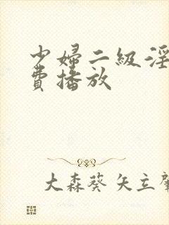 少妇二级淫片免费播放