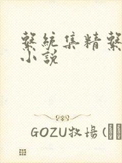 系统集精系统 小说封面