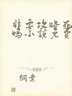 非要攻略死对头吗小说免费阅读