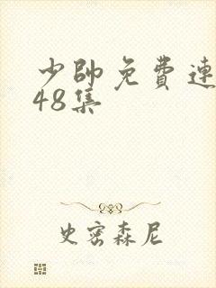 少帅免费连续剧48集