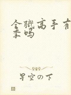 全职高手有第三季吗