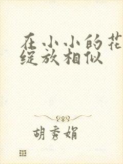 在小小的花蕾里绽放相似